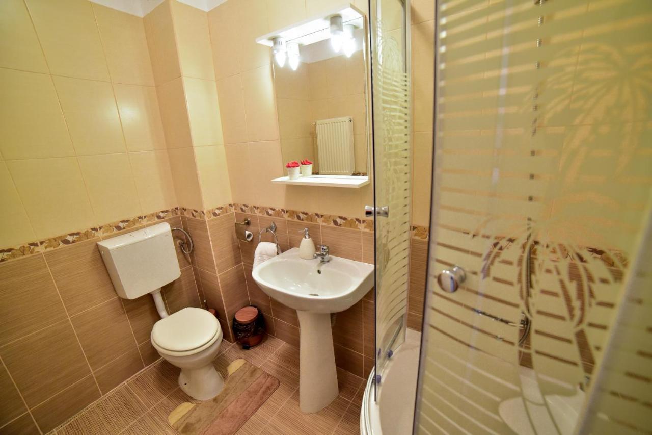 Flh - Apartament Central Silva Сибиу Экстерьер фото